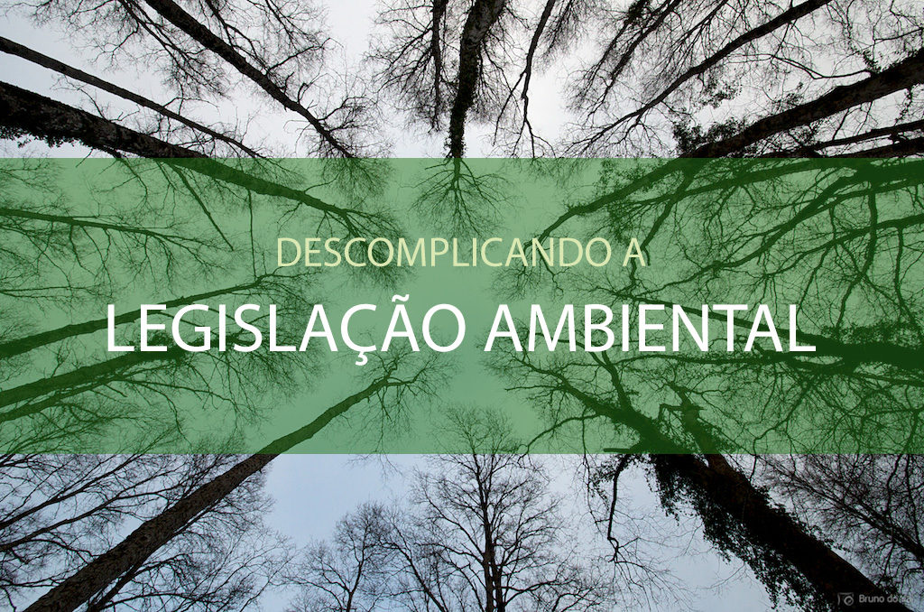 Descomplicando a Legislação Ambiental