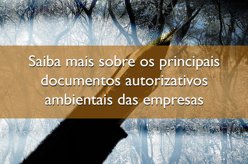 Saiba mais sobre os principais documentos autorizativos ambientais das empresas