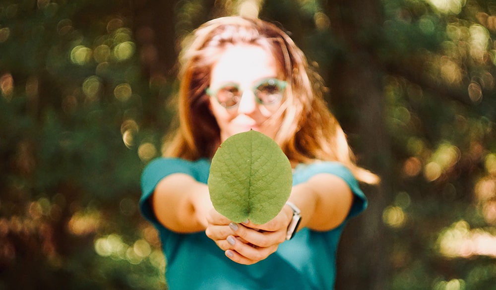 ISO 14001 - Sistema de Gestão Ambiental Integrado