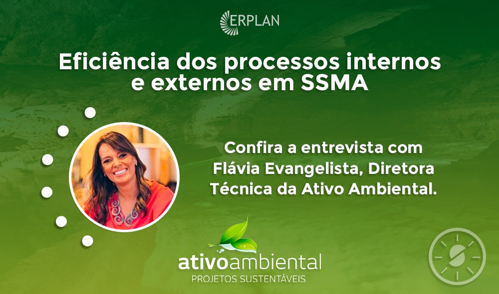 imagem entrevista com diretora técnica